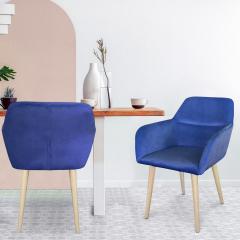 Fraydo Skandinavischer Stuhl / Sessel mit Samtbezug Mint